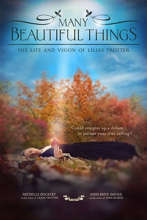 watch Many Beautiful Things