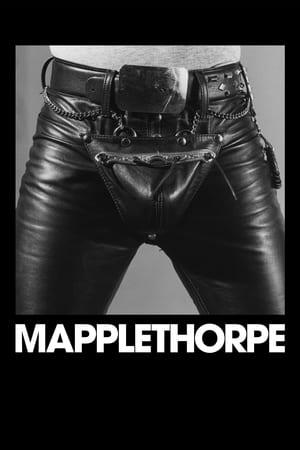 Mapplethorpe watch Mapplethorpe
