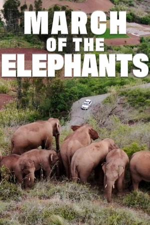 March of the Elephants watch March of the Elephants