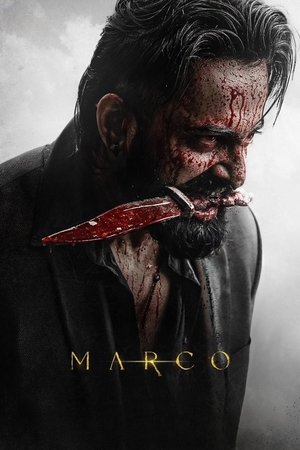 Marco watch Marco