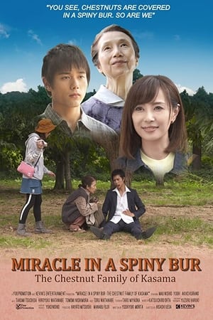 Miracle in Kasama watch Miracle in Kasama