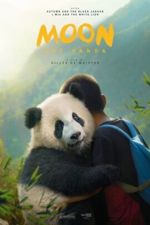 Moon The Panda watch Moon The Panda