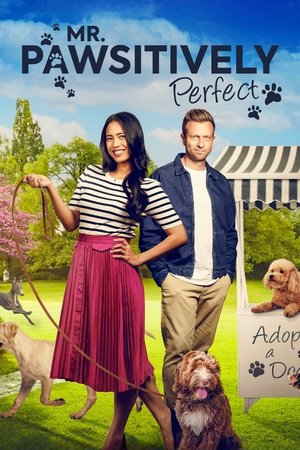 watch Mr. Pawsitively Perfect