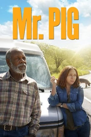 Mr. Pig watch Mr. Pig