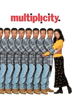 Multiplicity watch Multiplicity