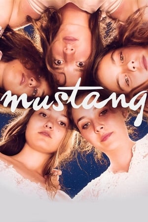 Mustang watch Mustang