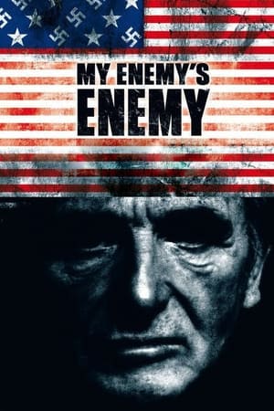 watch My Enemy's Enemy