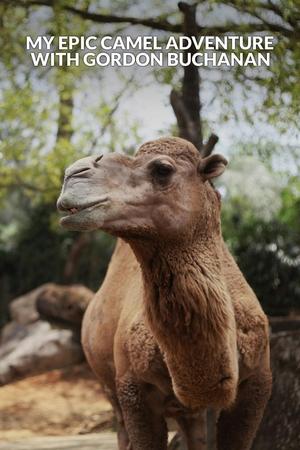 My Epic Camel Adventure With Gordon Buchanan watch My Epic Camel Adventure With Gordon Buchanan