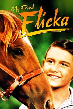 watch My Friend Flicka