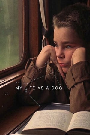My Life as a Dog watch My Life as a Dog