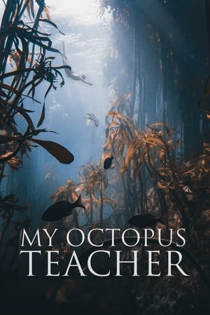 watch My Octopus Teacher