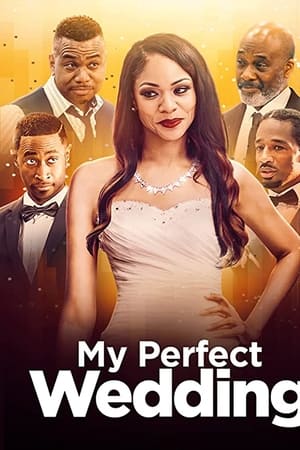 watch My Perfect Wedding
