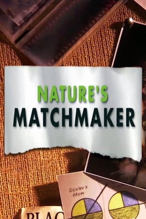 watch Nature's Matchmaker