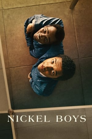 watch Nickel Boys