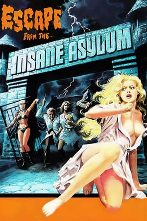 watch Night of Terror