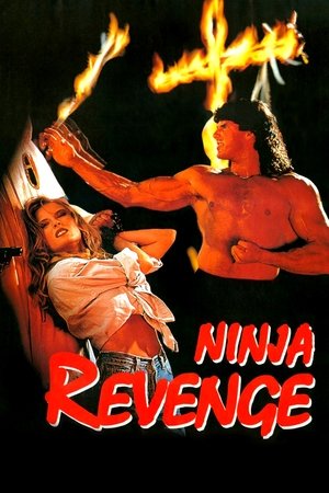 Ninja Vengeance watch Ninja Vengeance