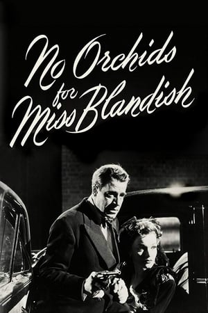 No Orchids for Miss Blandish watch No Orchids for Miss Blandish