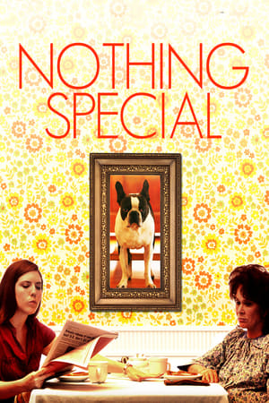 watch Nothing Special