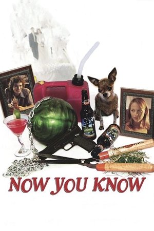 watch Now You Know