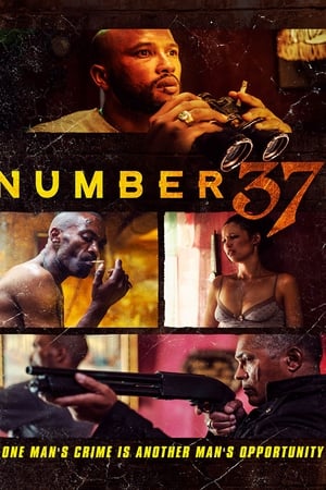 Number 37 watch Number 37