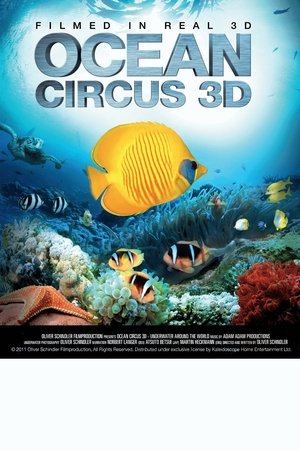 watch Ocean Circus 3D - Underwater Around the World