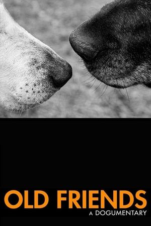 watch Old Friends: A Dogumentary