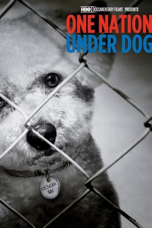 watch One Nation Under Dog