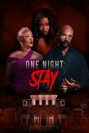 watch One Night Stay