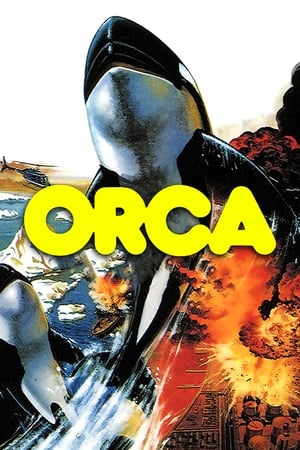 Orca watch Orca