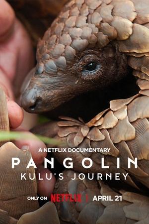 watch Pangolin: Kulu's Journey