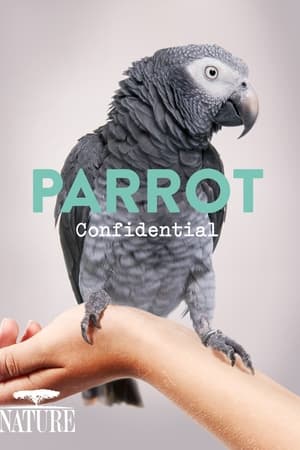 watch Parrot Confidential