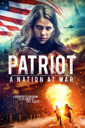 Patriot: A Nation at War watch Patriot: A Nation at War