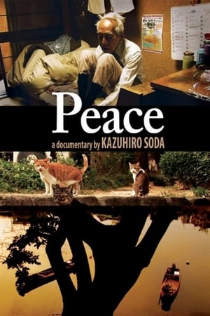 Peace watch Peace