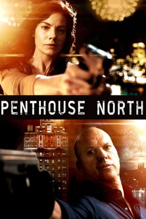 watch Penthouse North