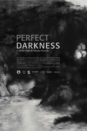Perfect Darkness watch Perfect Darkness