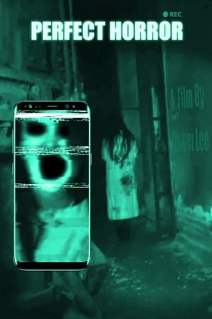 watch Perfect Horror
