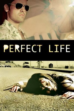 watch Perfect Life