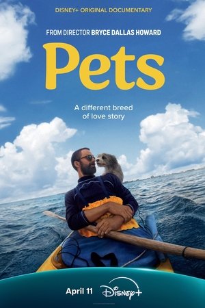 watch Pets