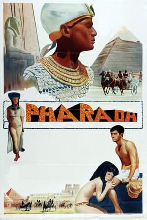 Pharaoh watch Pharaoh
