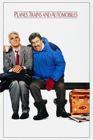 watch Planes, Trains and Automobiles