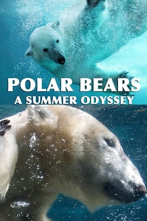 Polar Bears: A Summer Odyssey watch Polar Bears: A Summer Odyssey