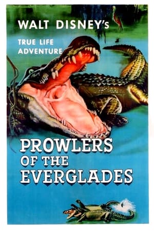 Prowlers of the Everglades watch Prowlers of the Everglades