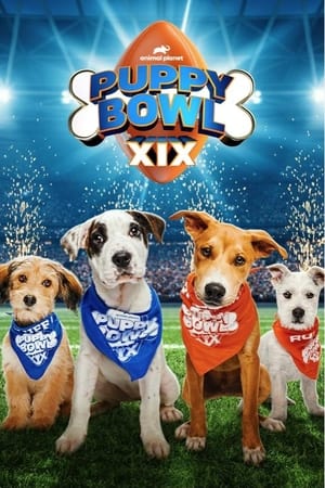 Puppy Bowl XIX watch Puppy Bowl XIX