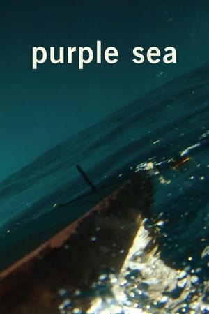 Purple Sea watch Purple Sea