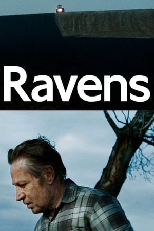 watch Ravens