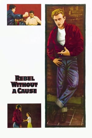 Rebel Without a Cause watch Rebel Without a Cause