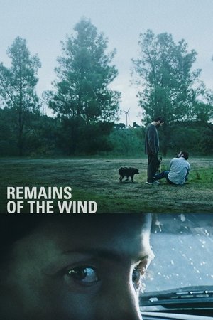 watch Remains of the Wind