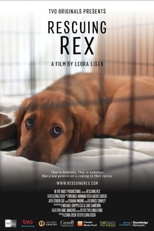 watch Rescuing Rex