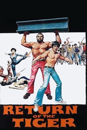 watch Return of the Tiger