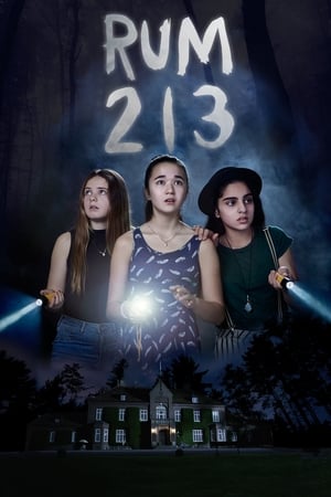 watch Room 213
